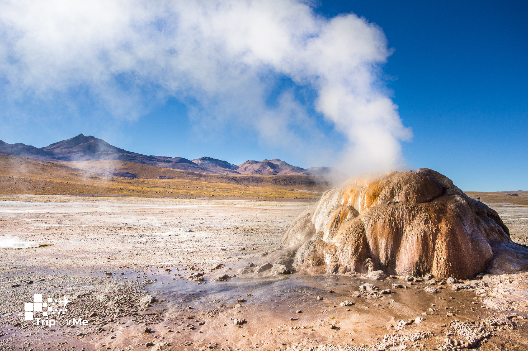 Geisers de Tatio