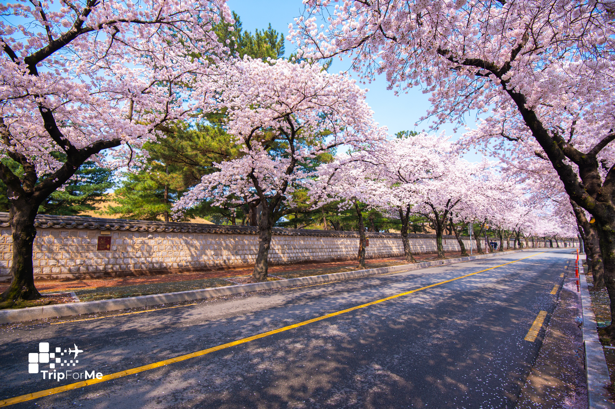 Gyeongju, Coreia do Sul